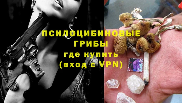 spice Приозерск