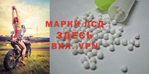 spice Приозерск