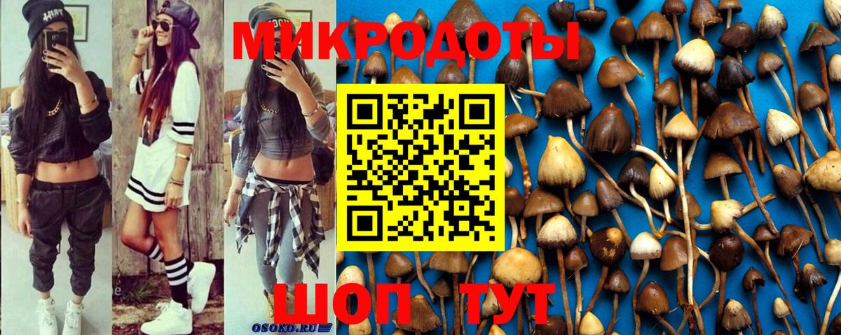 Галлюциногенные грибы прущие грибы Саров