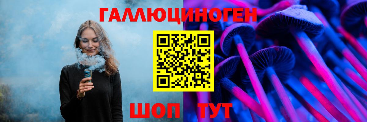 Саров  Галлюциногенные грибы Psilocybine cubensis  Вход с VPN 